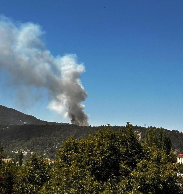 Honaz’da orman yangını 2