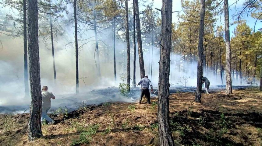 Honaz’da orman yangını
