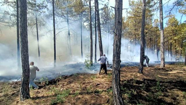 Honaz’da orman yangını! Ekipler bölgeye sevk edildi 1