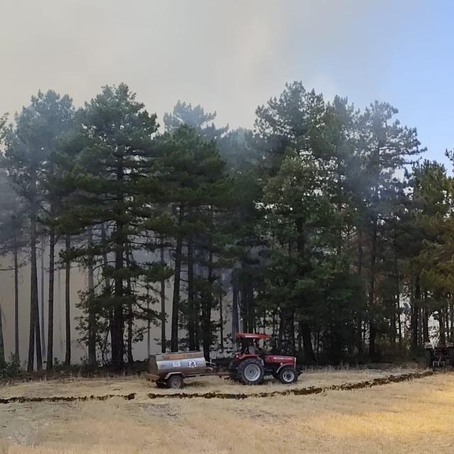 Honaz’da orman yangını! Ekipler bölgeye sevk edildi 2