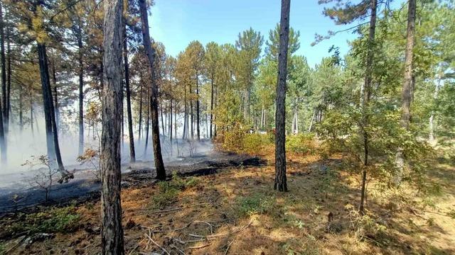 Honaz’da orman yangını! Ekipler bölgeye sevk edildi