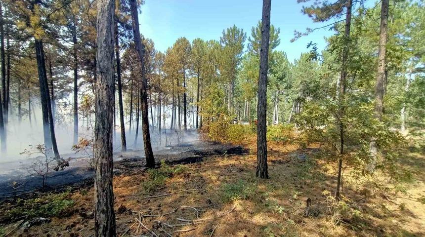 Honaz’da orman yangını! Ekipler bölgeye sevk edildi