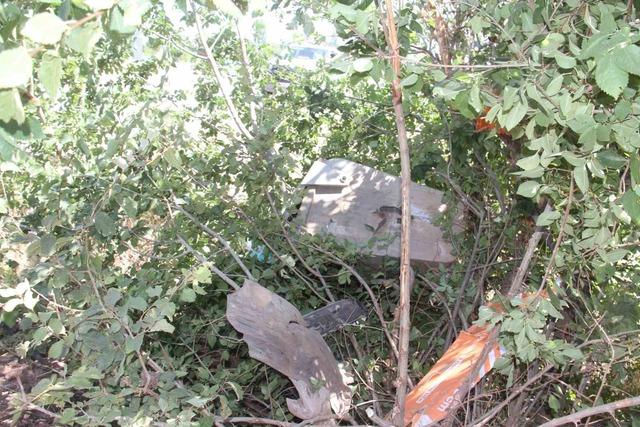 Hafif ticari araç önce ağaca sonra direğe çarptı: 5 yaralı 2