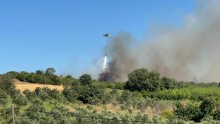 Çanakkale'de orman yangını! Ekipler seferber oldu