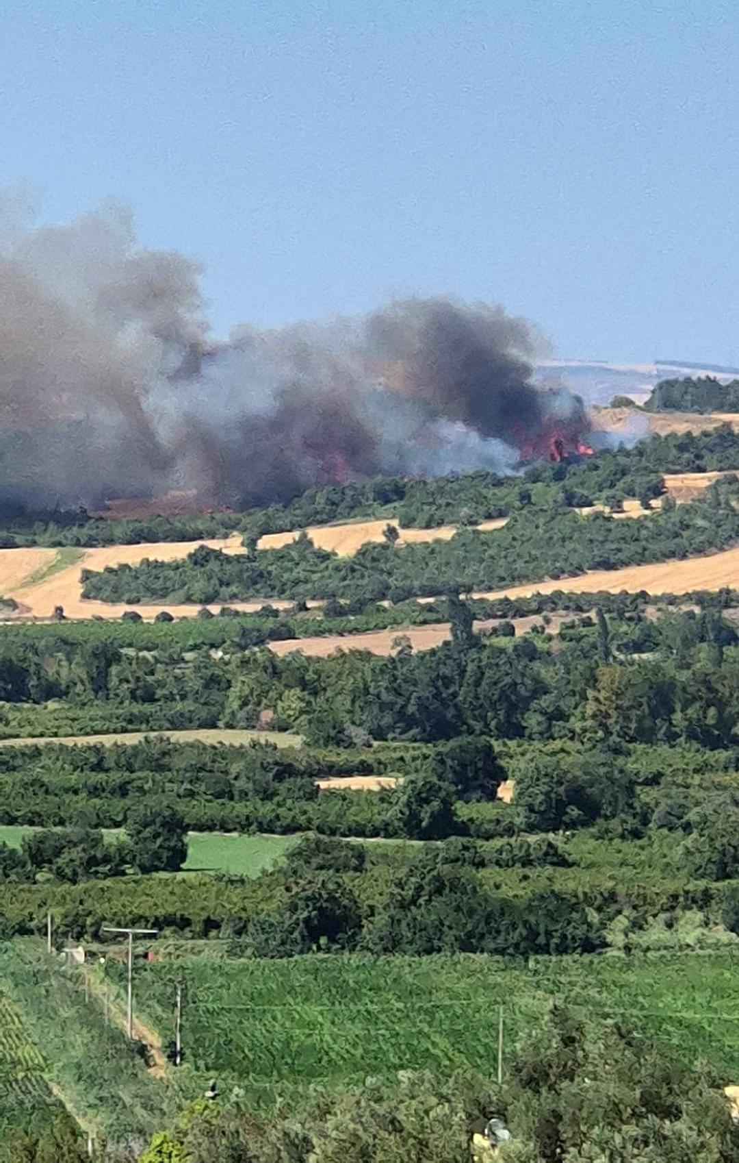 Çanakkale de orman yangını! Ekipler seferber oldu 1