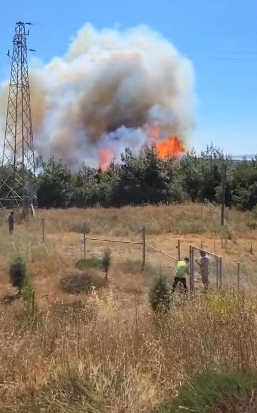 Çanakkale de orman yangını! Ekipler seferber oldu 2