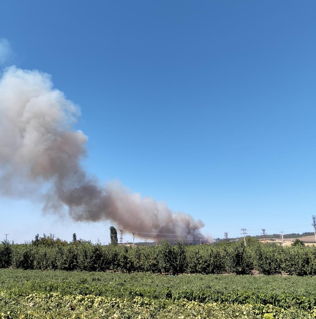 Çanakkale de orman yangını! Ekipler seferber oldu 3