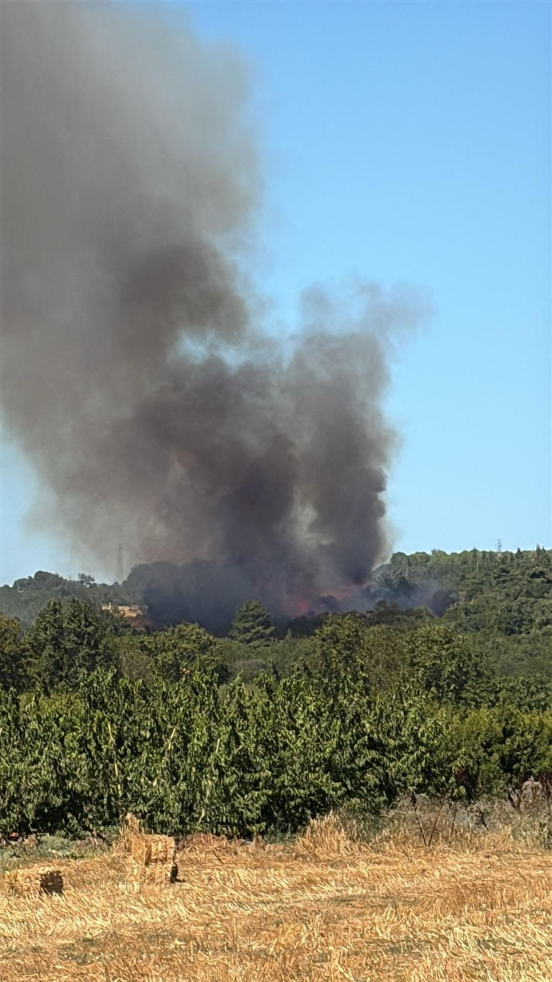 Çanakkale de orman yangını! Ekipler seferber oldu 4