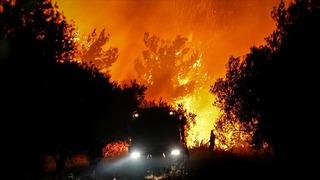 İletişim Başkanlığı'ndan orman yangınlarına karşı uyarı! 'Bu haftaya dikkat!'