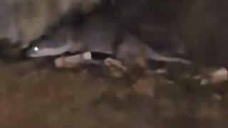 Su samurunu görüntüleyen vatandaş: Yaradana kurban olayım