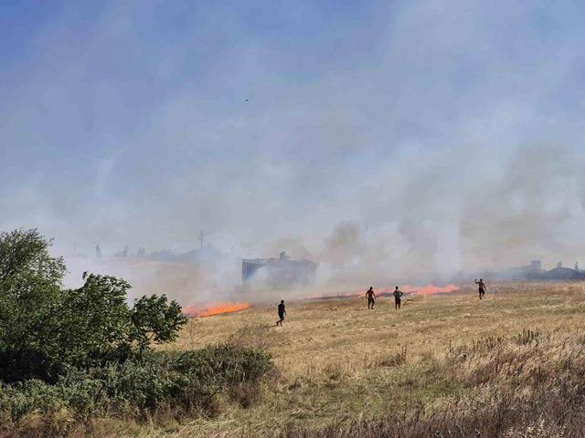 Yerleşim yeri yakınındaki çıkan anız yangını söndürüldü 1