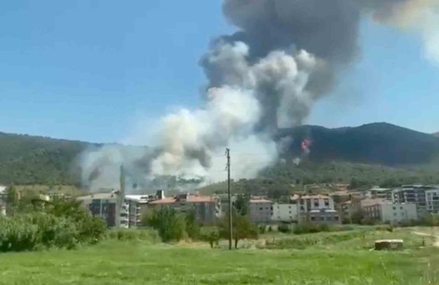 Soma’da orman yangını! Ekipler sevk edildi