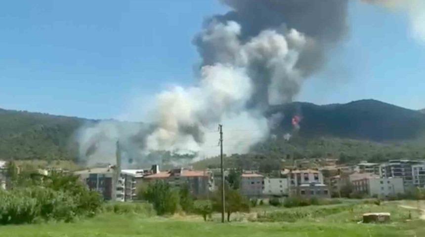 Soma’da orman yangını! Ekipler sevk edildi