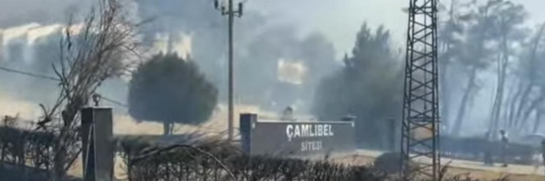 SON DAKİKA | Çanakkale de orman yangını! Alevler evlere ulaştı, arabalara sıçradı... Tahliyeler başladı 14