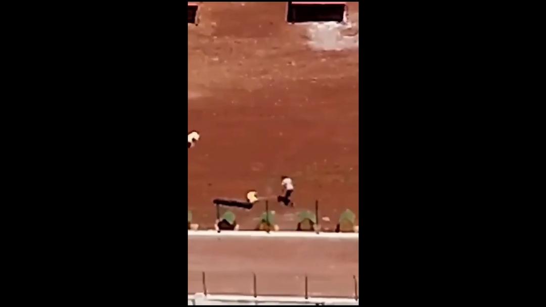Yer: Kars! Belediye çalışanları köpeklere demir çubuklarla işkence yaptı, o görüntülere tepki yağdı 2