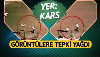 Belediye çalışanları köpeklere işkence yaptı! Görüntülere tepki yağdı