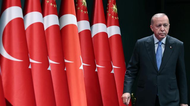 Cumhurbaşkanı Erdoğan: Devletimiz milletin hakkını yiyen haramzadelere acımamış, adalete teslim etmiştir
