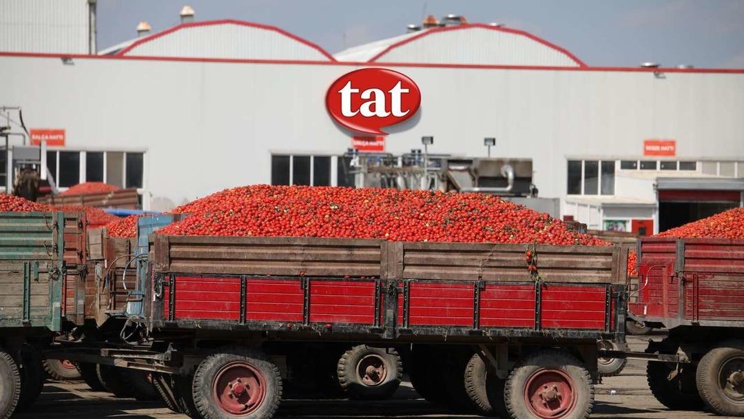Tat Gıda bilançosunu açıkladı: Kayıplar azaldı mı? 1