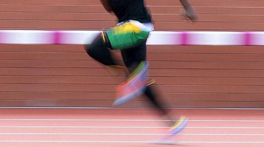 Her şey bir belgeselle başladı