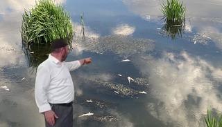Piknik yapmaya gittiler, korkunç manzara ile karşılaştılar! 