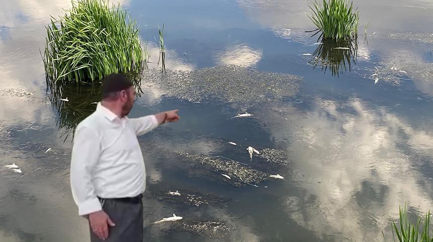 Yer: Erzurum! Piknik yapmaya gittiler, korkunç manzara ile karşılaştılar! Yüzlercesi telef oldu