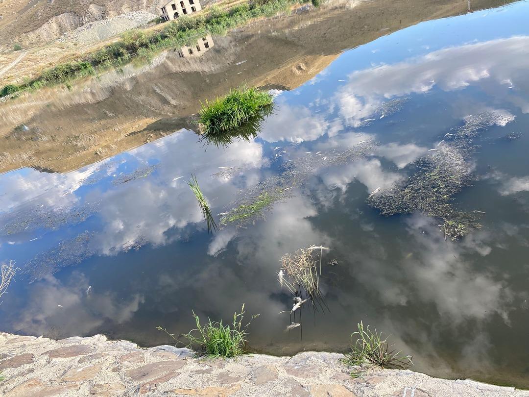 Yer: Erzurum! Piknik yapmaya gittiler, korkunç manzara ile karşılaştılar! Yüzlercesi telef oldu 2