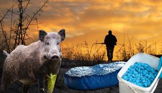 Avladığı hayvanı kesince gözlerine inanamadı: Masmavi çıktı!