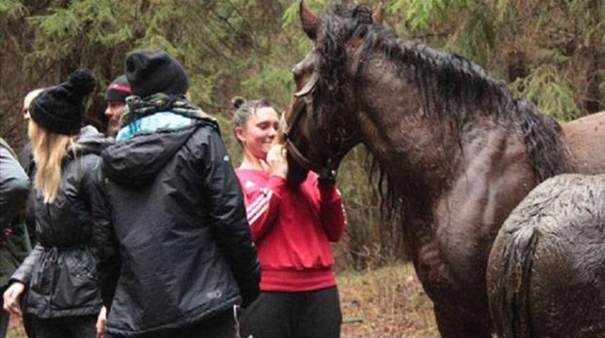 Kadın boks&ouml;r atları kurtardı