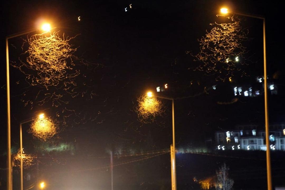 Görenler yaz günü kar yağıyor sandı! Milyonlarcası yere düşüp öldü 1