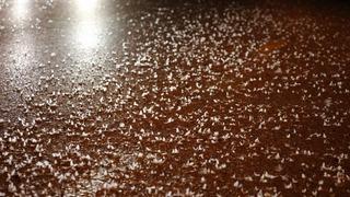 Görenler yaz günü kar yağıyor sandı! Milyonlarcası yere düşüp öldü