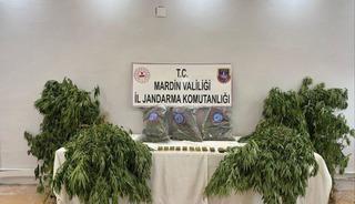 Mardin'de uyuşturucu operasyonu! Yakalanan zanlı tutuklandı