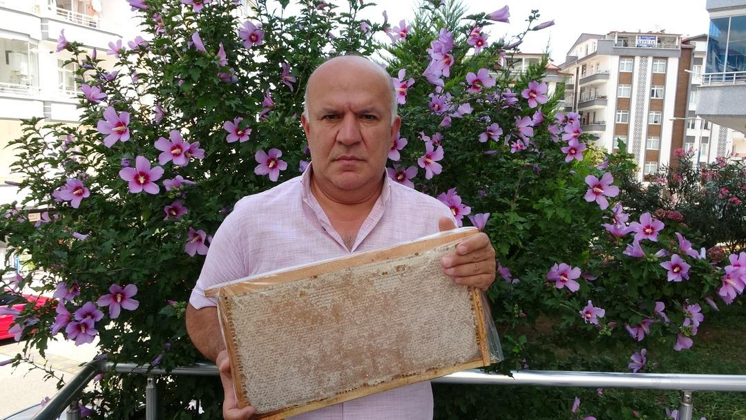  Gerçeğinin değeri arttı  300 bin kişi bu işle geçimini sağlıyor! Avrupa ya da satılıyor 5
