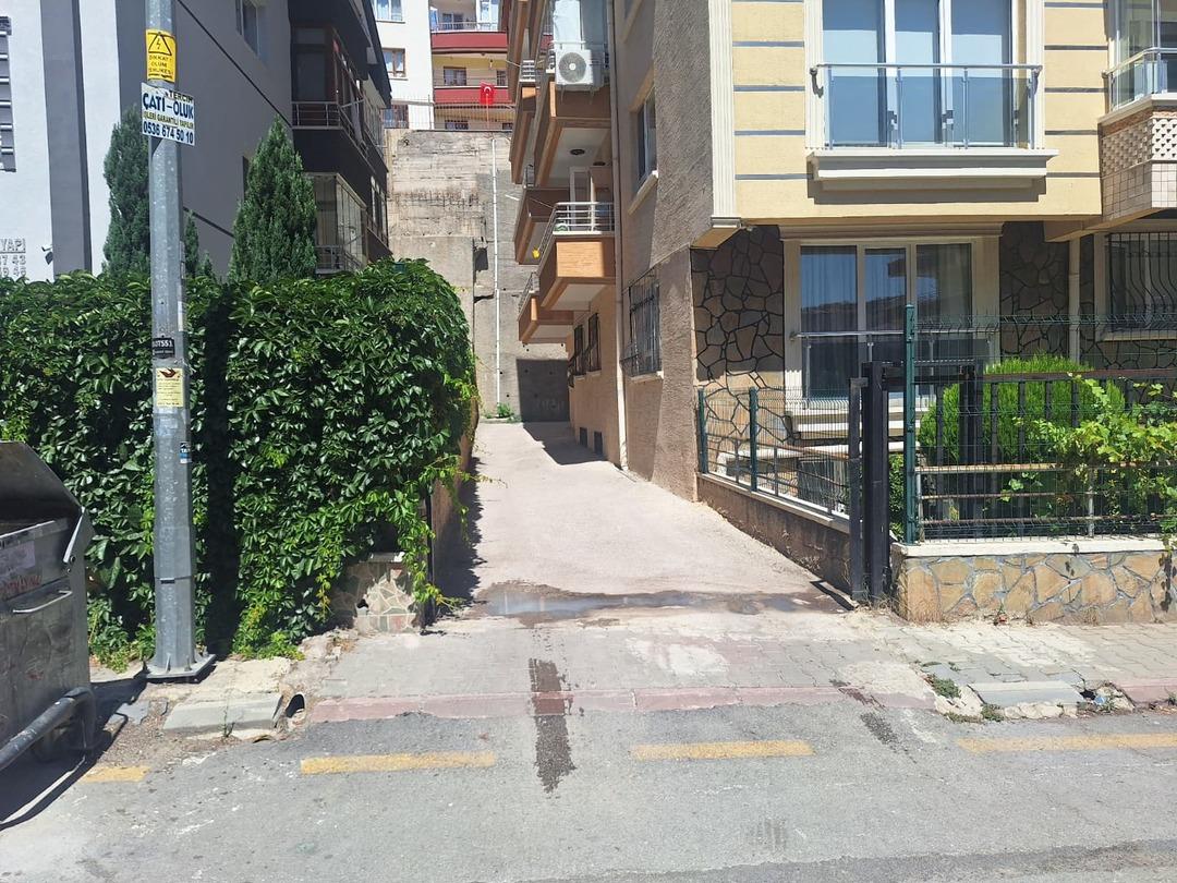 Ankara da kan donduran olay: Polis kendisine saldırdığını iddia ettiği sokak köpeğini tabancayla öldürdü! 3