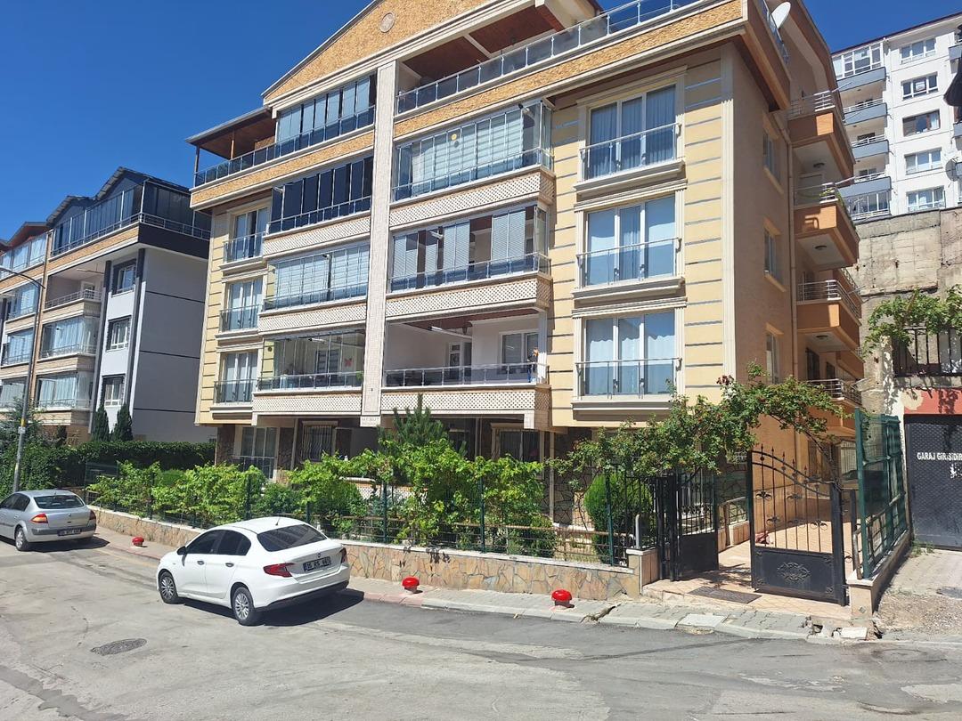 Ankara da kan donduran olay: Polis kendisine saldırdığını iddia ettiği sokak köpeğini tabancayla öldürdü! 1