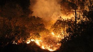 Bakan Yerlikaya duyurdu: Çanakkale'deki yangın kontrol altına alındı!