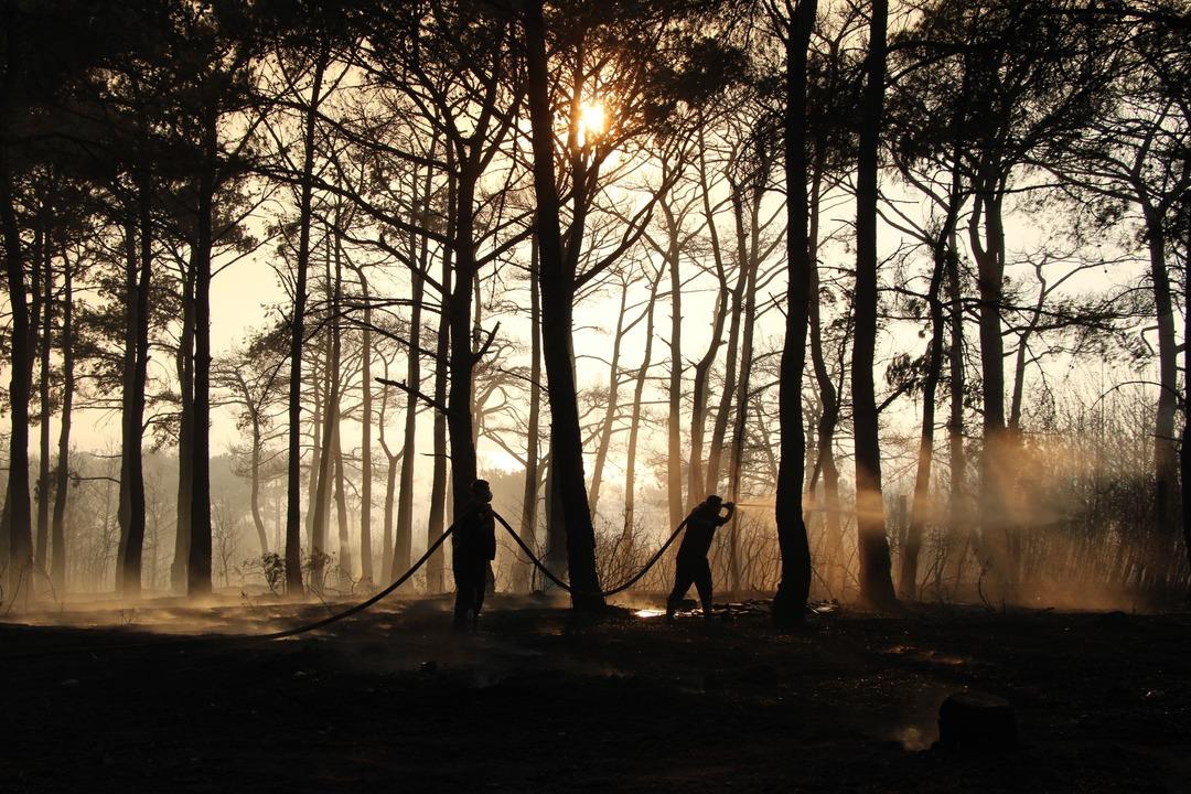 Bakan Yerlikaya duyurdu: Çanakkale deki yangın kontrol altına alındı! 3