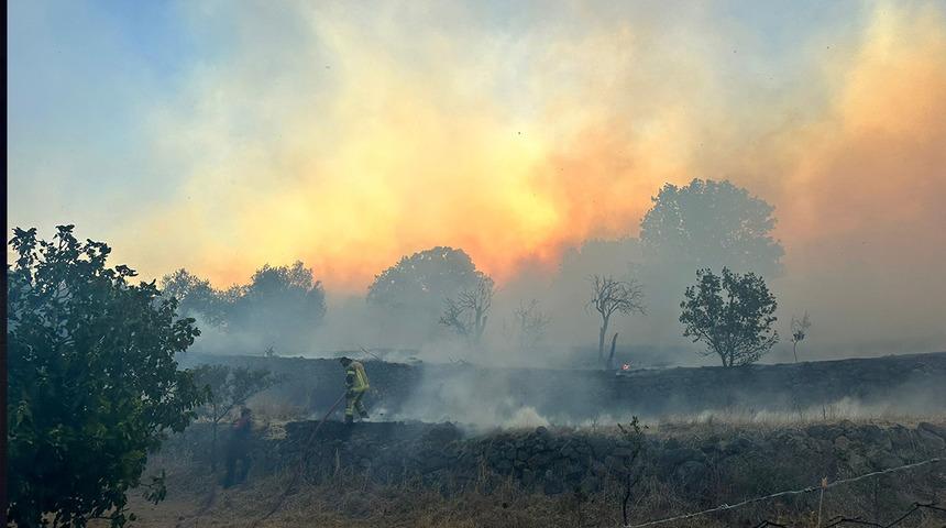 Bakan Yumaklı duyurdu! Buca'daki yangın kontrol altına alındı