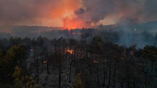 SON DAKİKA | Osmaniye'deki orman yangınından acı haber! Bir işçi şehit oldu, bir işçi yaralandı