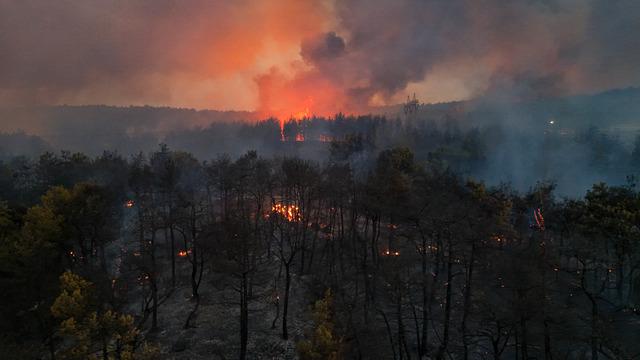 SON DAKİKA | Osmaniye'deki orman yangınından acı haber! Bir işçi şehit oldu, bir işçi yaralandı