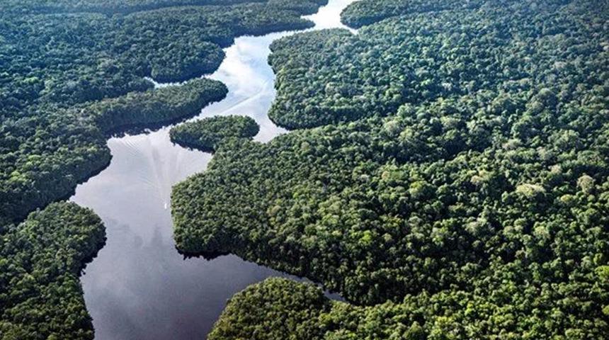 Geri dönüşü olmayacak! Dünya'nın en büyük akciğeri kuruyor