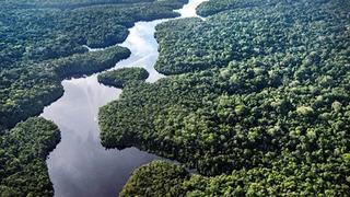 Geri dönüşü olmayacak! Dünya'nın en büyük akciğeri kuruyor