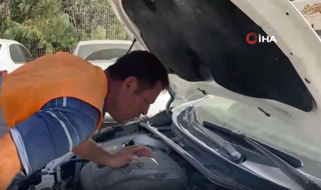 Yer: Hatay! Kaputa gireni sokak hayvanı sandılar, kendilerinin çıktı! 1