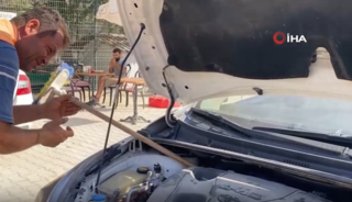 Kaputa gireni sokak hayvanı sandılar, kendilerinin çıktı!