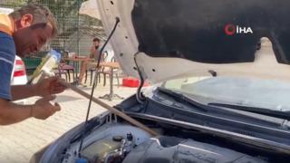 Yer: Hatay! Kaputa gireni sokak hayvanı sandılar, kendilerinin çıktı!