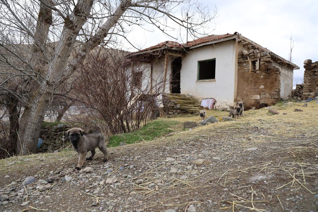 Sivas ta terk edilmiş  cinli  köyde sabahladı: Besmeleler çekerek terk edilmiş evlere girdi! "Tüylerim ürperdi" 6