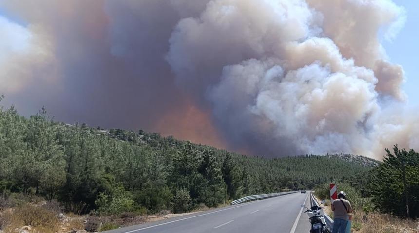 Mersin'de orman yangını! Havadan müdahale başladı