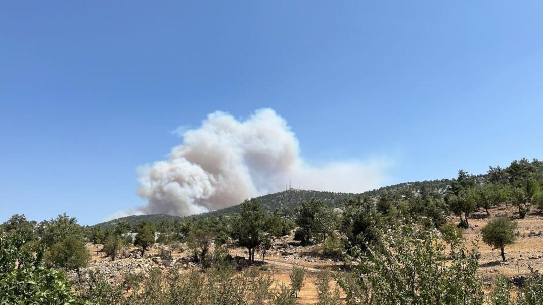 Mersin de orman yangını! Havadan müdahale başladı 1