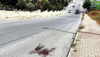 Mezarlık önünde kardeş kavgası! Acımadan öldürdü
