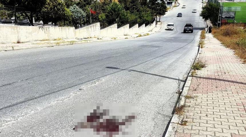 Mezarlık önündeki kardeş kavgasında kan aktı! Kardeşini acımadan öldürdü