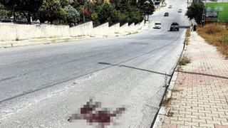 Mezarlık önündeki kardeş kavgasında kan aktı! Kardeşini acımadan öldürdü